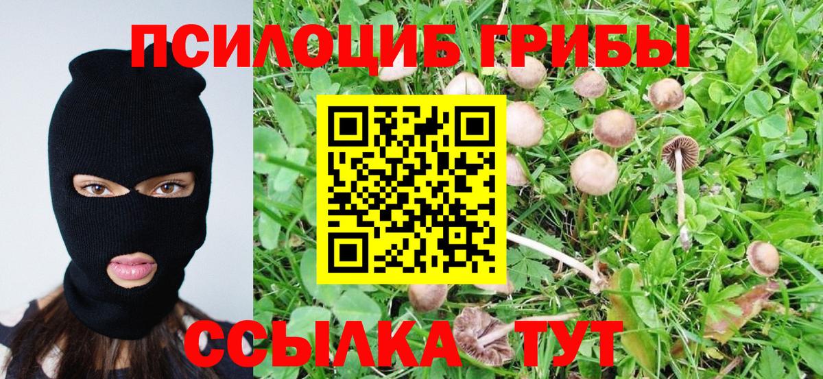 Прохладный  Галлюциногенные грибы Psilocybine cubensis  Галлюциногенные грибы GOLDEN TEACHER  Вход с VPN 