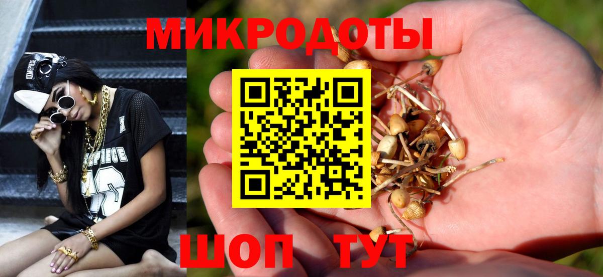 Галлюциногенные грибы GOLDEN TEACHER Прохладный